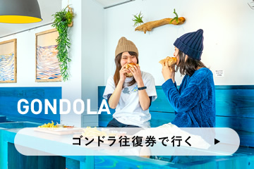 ゴンドラ往復券で行く