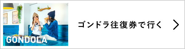 ゴンドラ往復券で行く