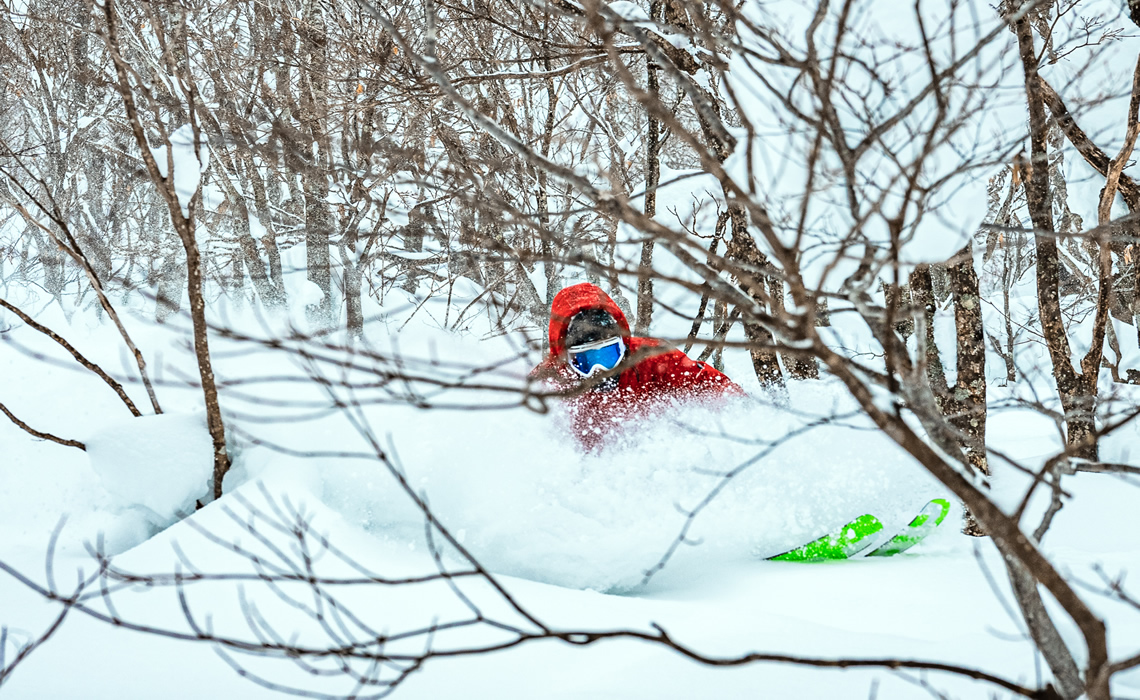 ツリーランエリアパウダーイメージ