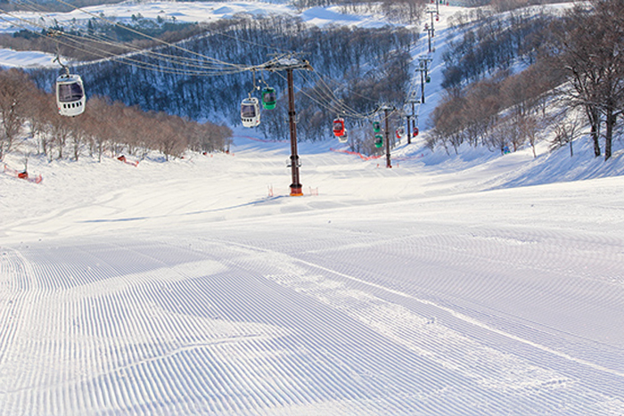 ダイヤモンドコース写真