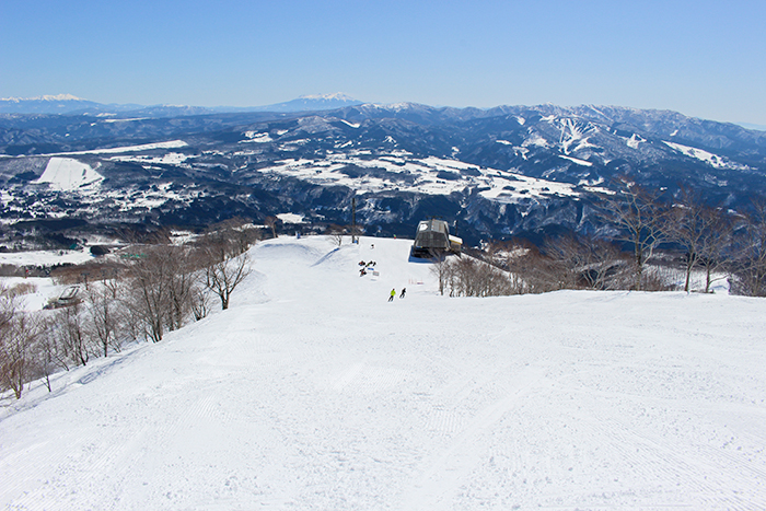 ダイナミックコース写真
