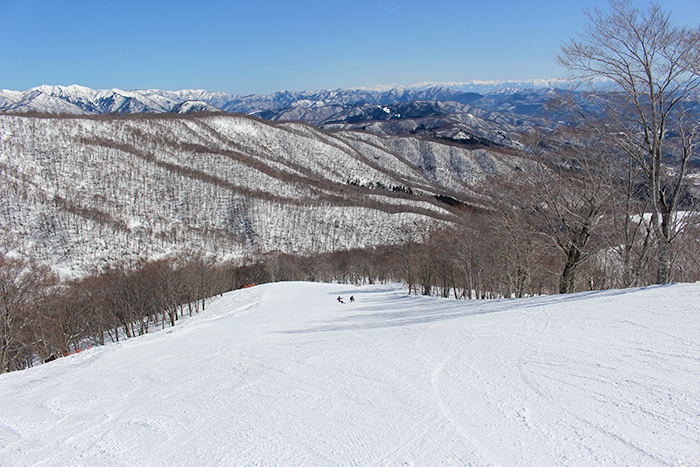 ゴールドコース写真