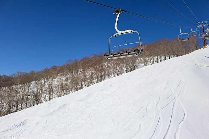 チャンピオンコース写真