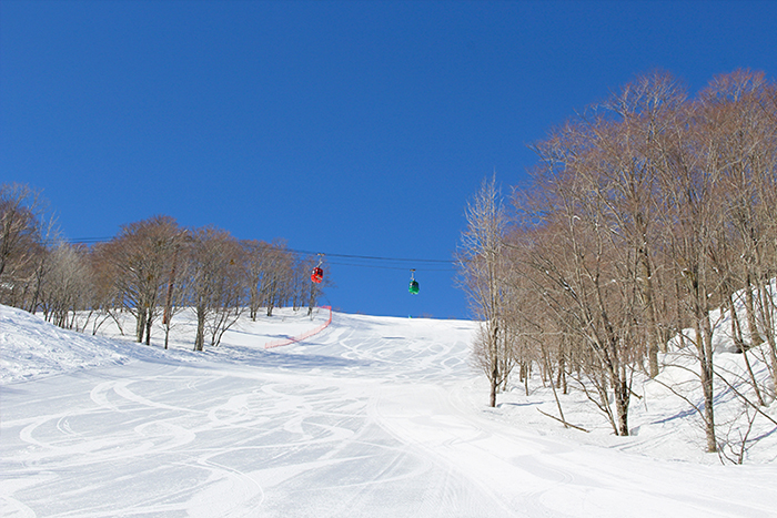 チャレンジコース写真