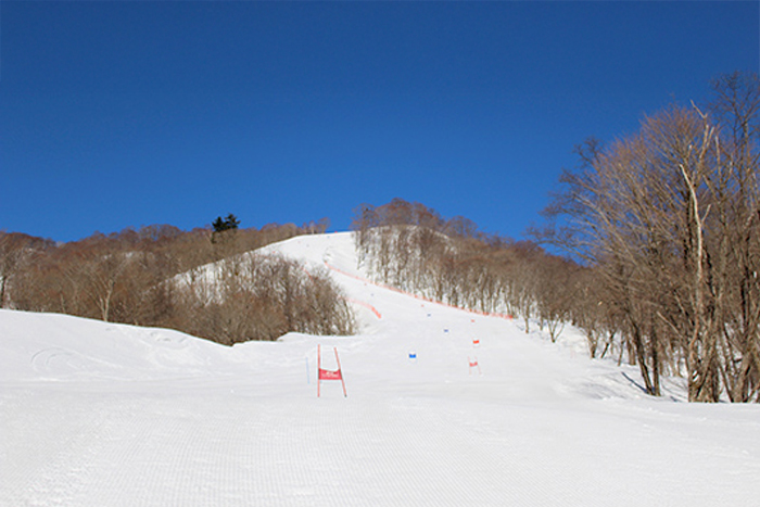 エキサイティングAコース写真