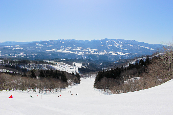 エキサイティングBコース写真