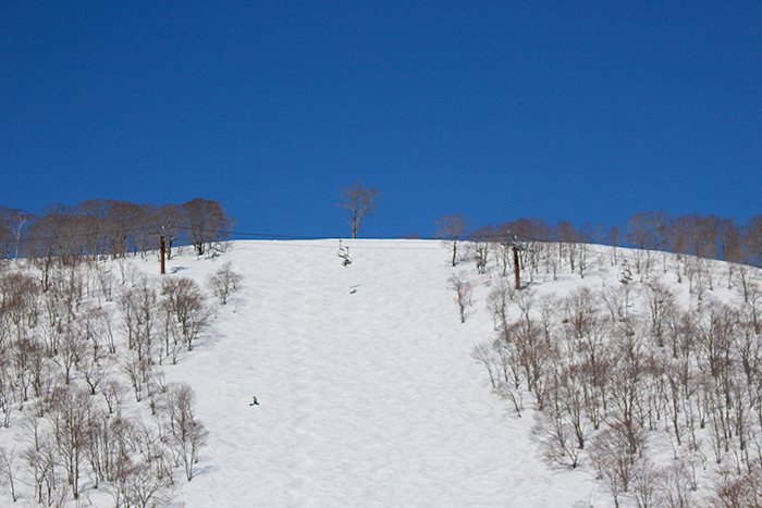 テクニカルコース写真