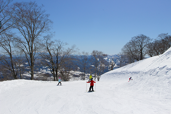 バンブーコース写真