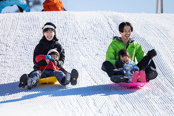 そり遊び写真